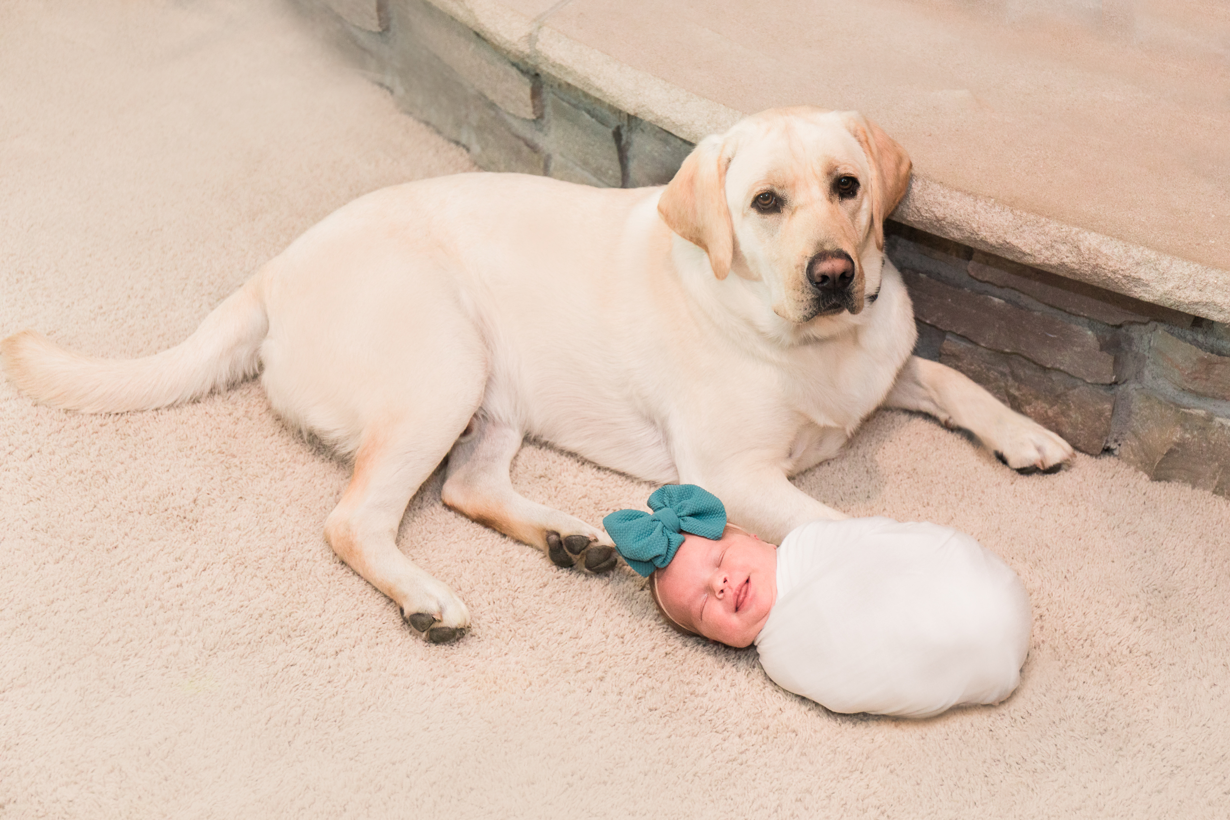 Newborn With Puppy Photo- Kyra Ann Photography