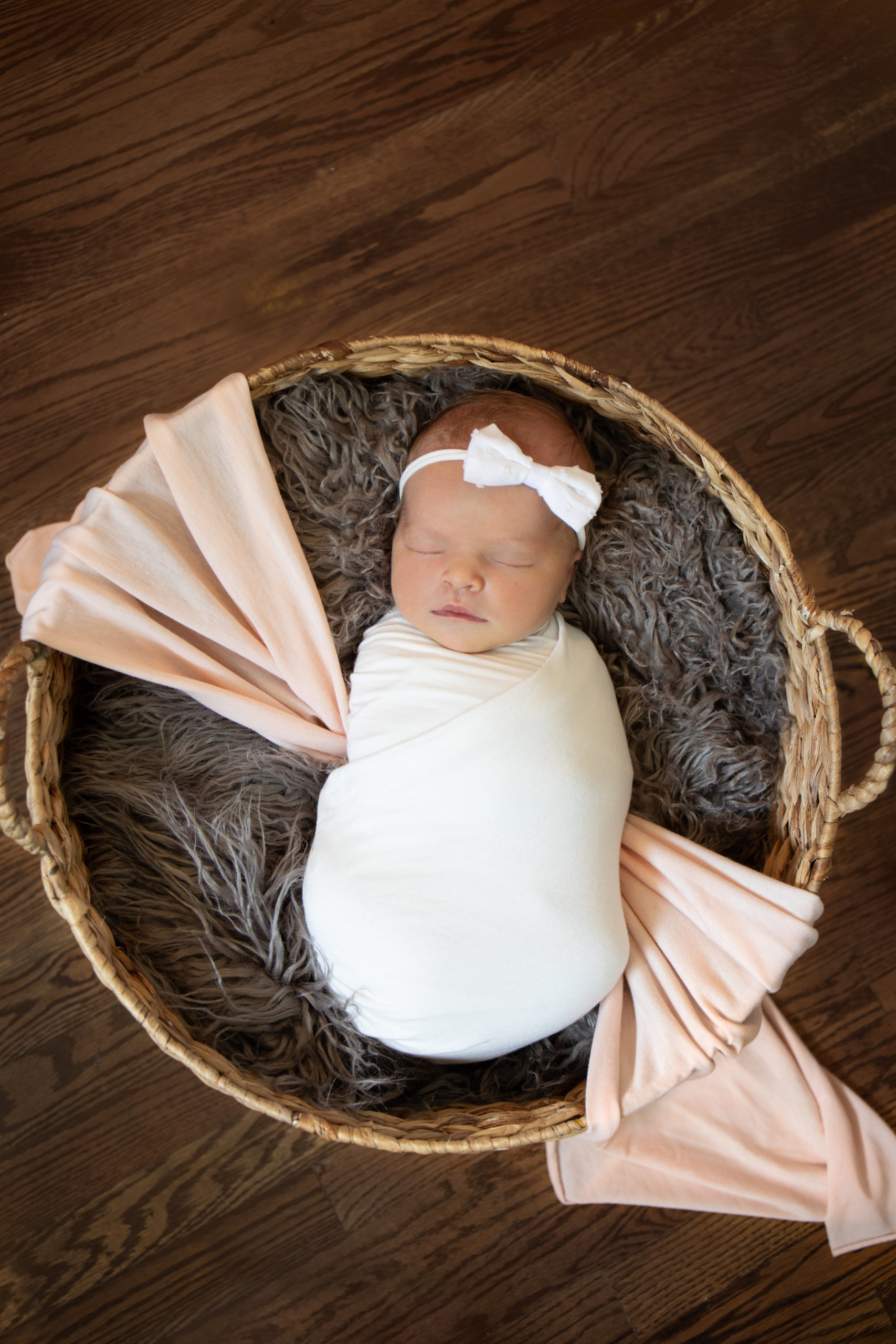 Newborn basket photography